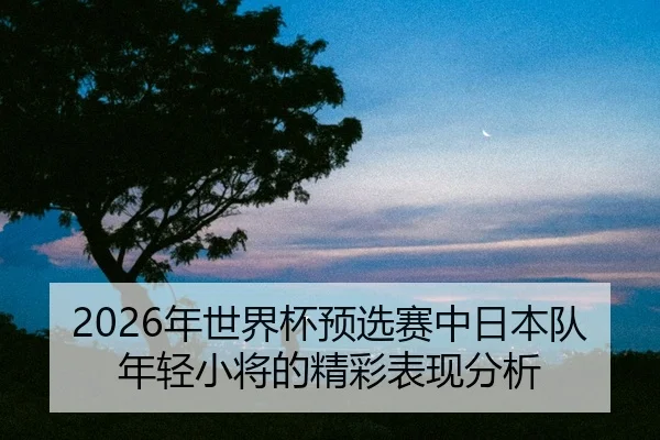 nian-shi-jie-bei-yu-xuan-sai-zhong-ri-ben-dui-nian-qing-xiao-jiang-de-jing-cai-biao-xian-fen-xi-2-361.jpg