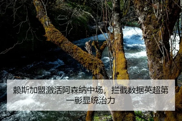 赖斯加盟激活阿森纳中场，拦截数据英超第一彰显统治力